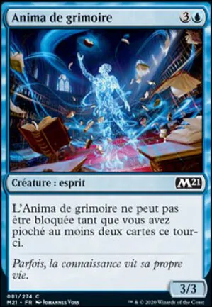 Anima de grimoire