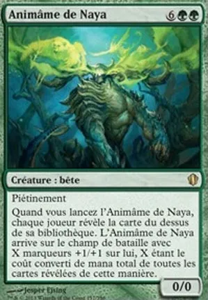 Animâme de Naya