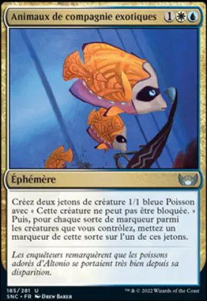 Animaux de compagnie exotiques
