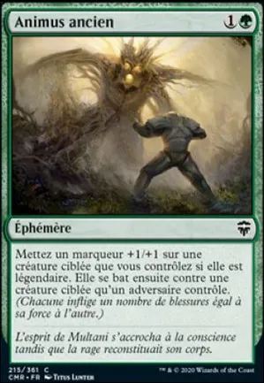Animus ancien
