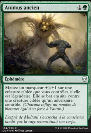 Animus ancien