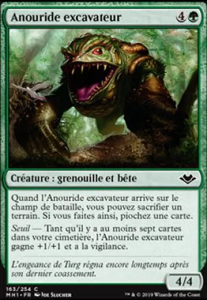 Anouride excavateur