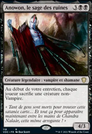 Anowon, le sage des ruines