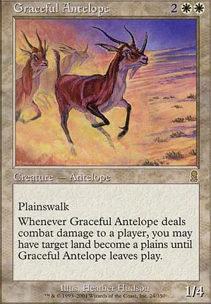Antilope gracieuse
