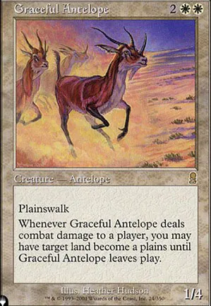 Antilope gracieuse