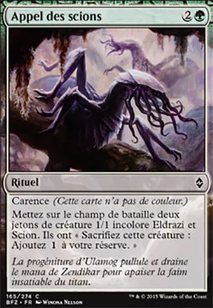 Appel des scions