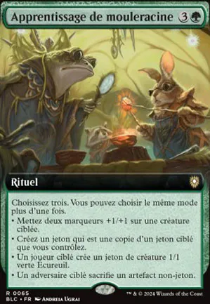 Apprentissage de mouleracine