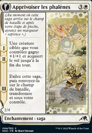 Apprivoiser les phalènes