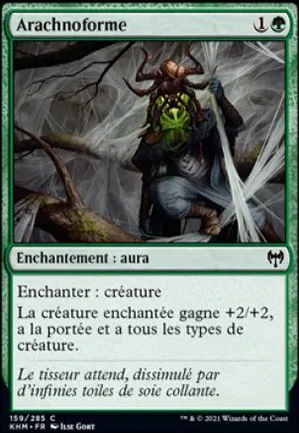 Arachnoforme