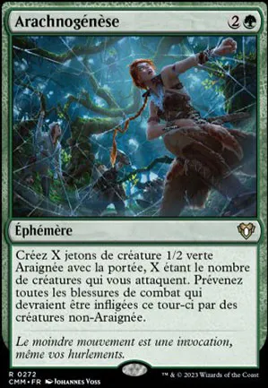 Arachnogénèse