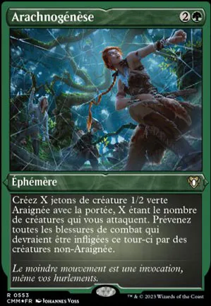 Arachnogénèse