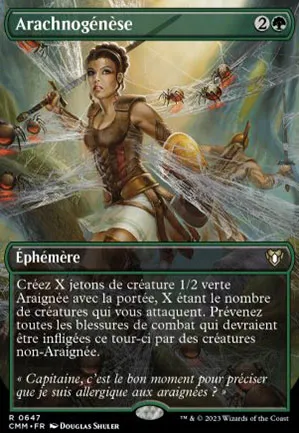 Arachnogénèse