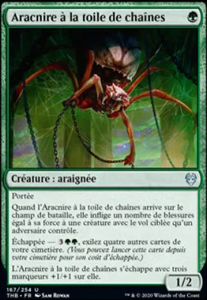 Aracnire à la toile de chaînes