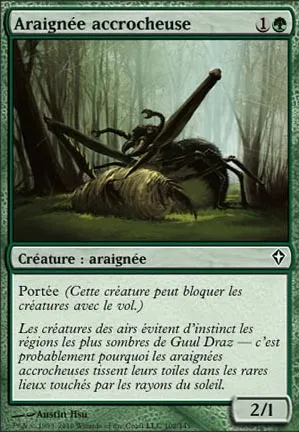 Araignée accrocheuse