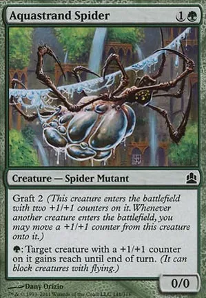 Araignée aiguafile