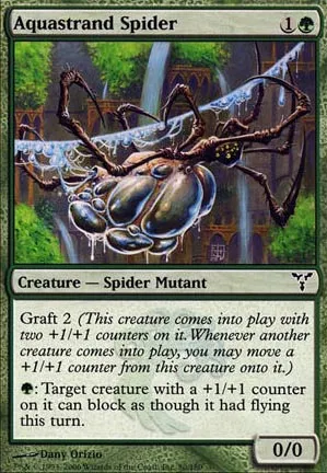 Araignée aiguafile