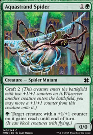 Araignée aiguafile