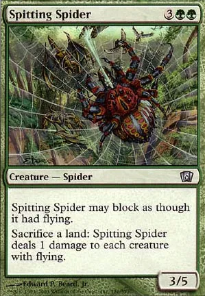 Araignée cracheuse