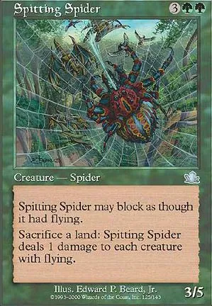 Araignée cracheuse