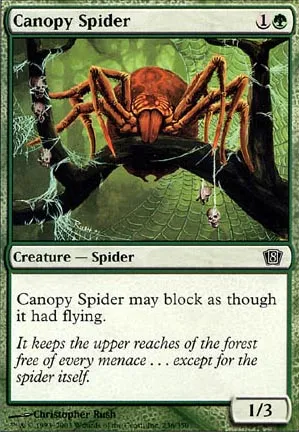 Araignée de la canopée