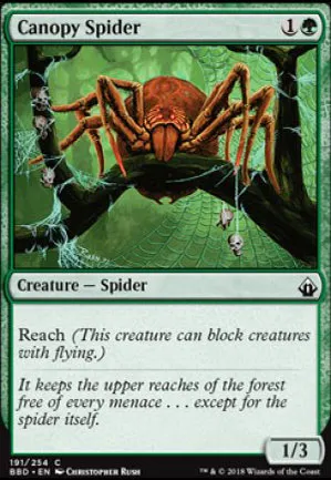 Araignée de la canopée