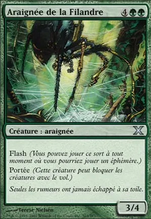 Araignée de la filandre