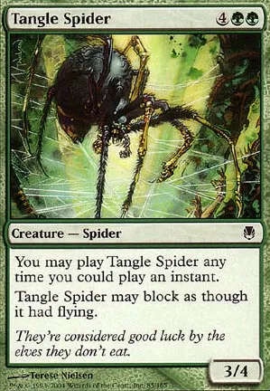 Araignée de la filandre