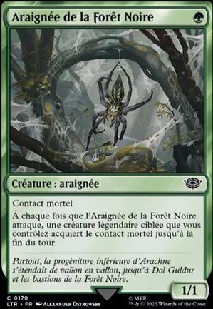 Araignée de la Forêt Noire