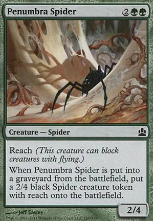 Araignée de la pénombre