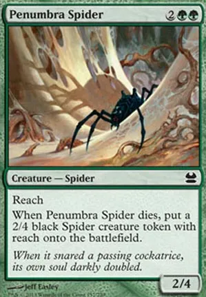 Araignée de la pénombre