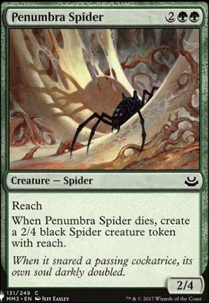 Araignée de la pénombre