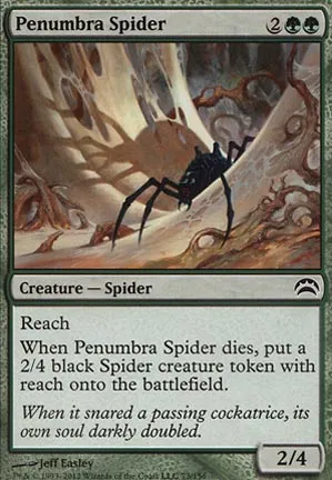 Araignée de la pénombre