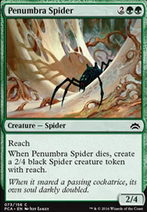 Araignée de la pénombre