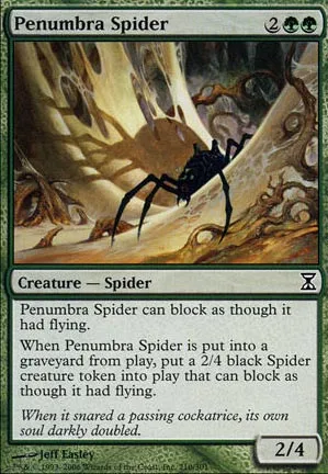 Araignée de la pénombre