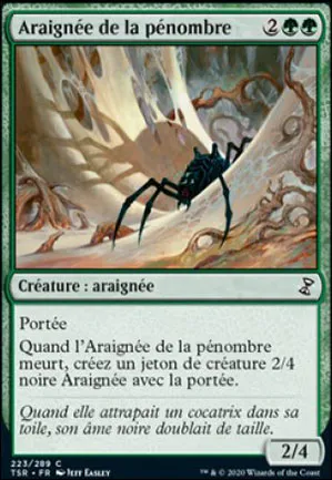 Araignée de la pénombre