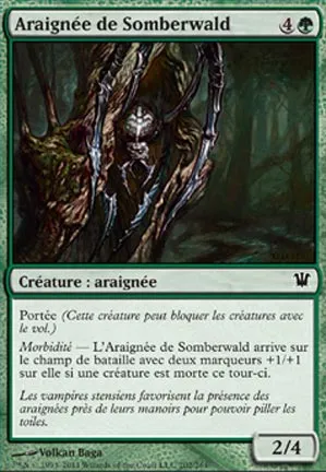 Araignée de Somberwald