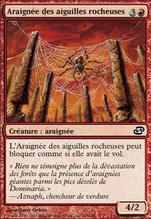 Araignée des aiguilles rocheuses