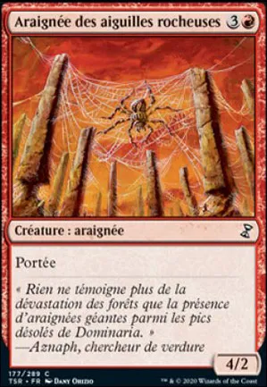 Araignée des aiguilles rocheuses