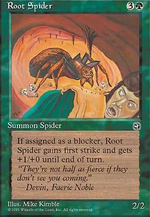 Araignée des souches
