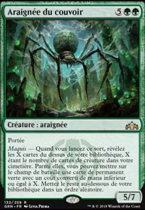 Araignée du couvoir