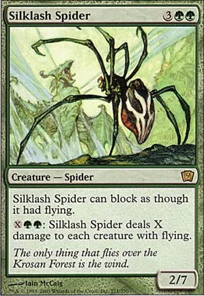 Araignée fouettesoie