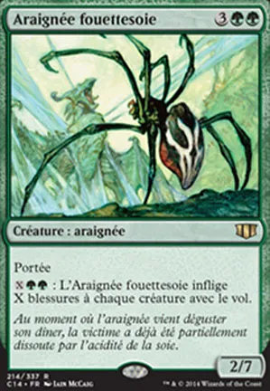 Araignée fouettesoie