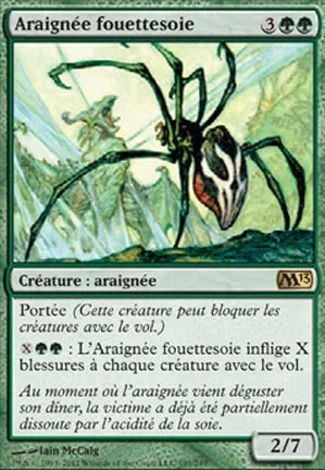 Araignée fouettesoie