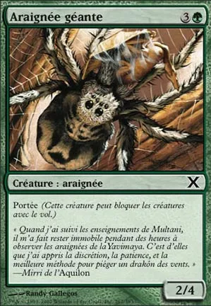 Araignée géante