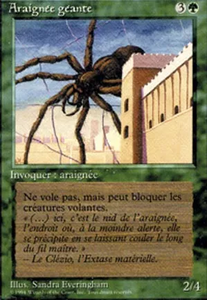 Araignée géante