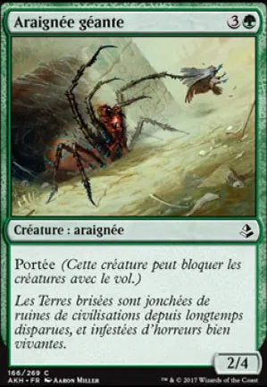 Araignée géante
