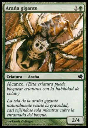 Araignée géante