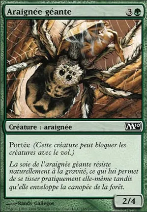 Araignée géante