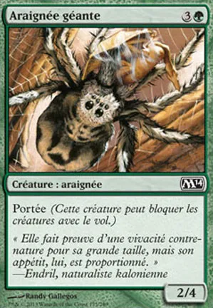 Araignée géante