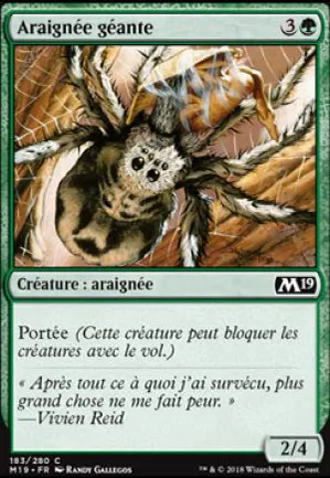 Araignée géante